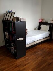 Tiara (D9), Condominium #462142991